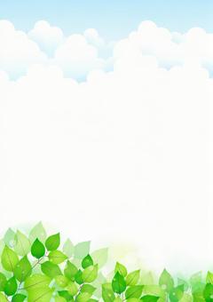 Leaf background / frame, JPG Leaf background / frame, frame, summer, leaf, JPG