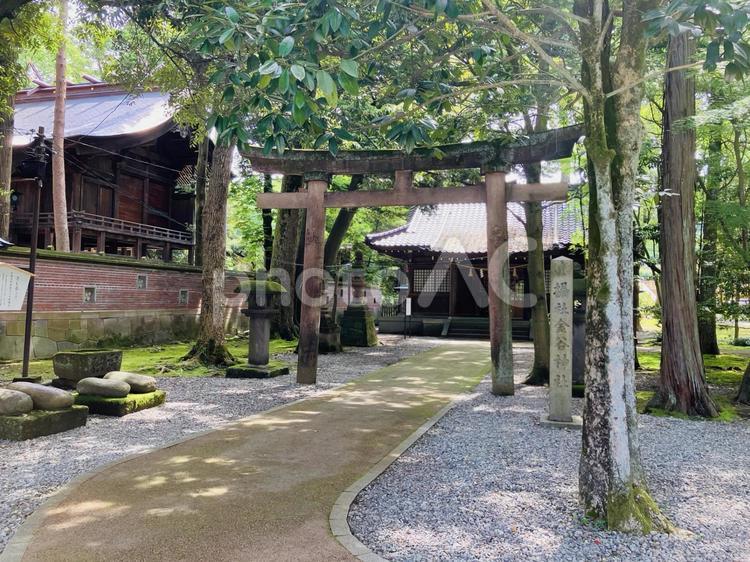 尾山神社　金谷神社 尾山神社,石川県金沢市,神社の写真素材