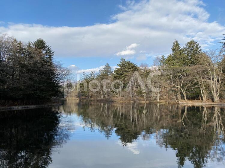 池のほとり 水域,自然,湖の写真素材
