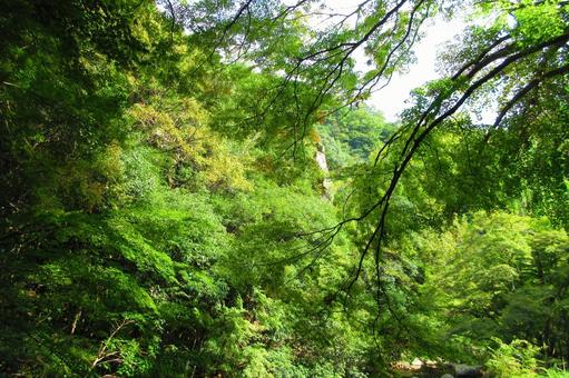 岡山県-豪渓の写真