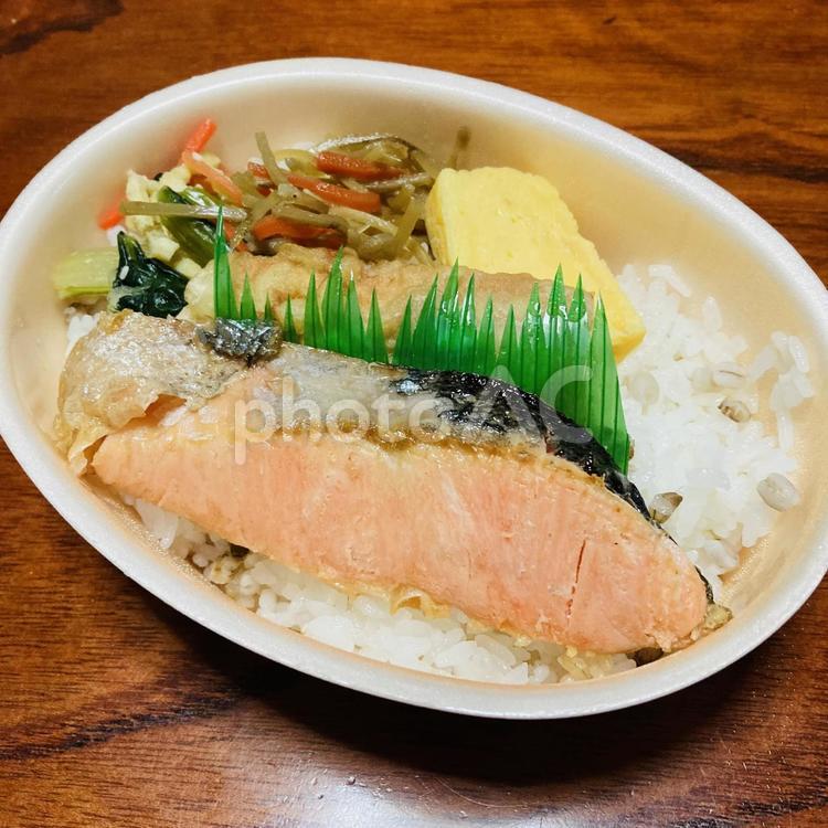 もち麦と鮭〜卵焼き弁当 食べ物,弁当,食事の写真素材