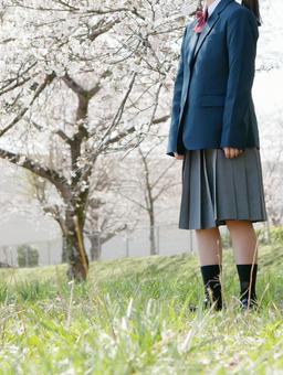 満開の桜の下　佇む女子生徒 女子生徒,佇む,子供の写真素材