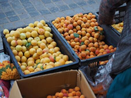 あんず あんず,アプリコット,市場の写真素材