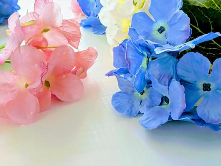 背景素材(梅雨イメージ)紫陽花3 背景素材(梅雨イメージ)紫陽花3の写真