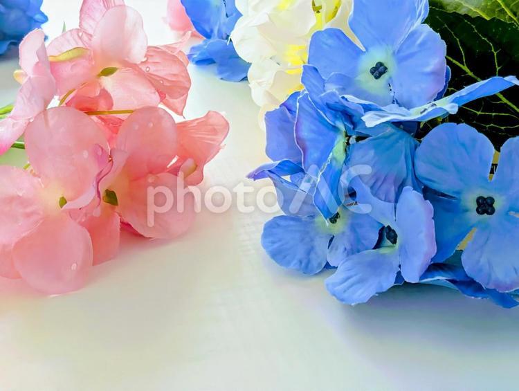 背景素材（梅雨イメージ）紫陽花3 梅雨,梅雨入り,6月の写真素材