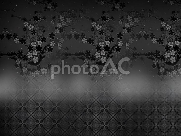 花とレースの画像　黒系 花,レース,背景の写真素材