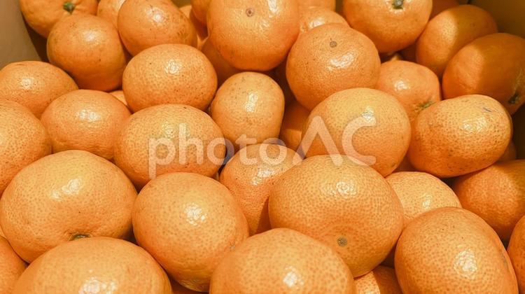 みかん　果実　食べ物 食べ物,果物,フルーツの写真素材