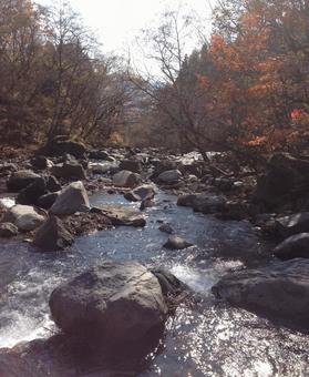 紅葉と岩場を流れる渓流の秋風景 紅葉と岩場を流れる渓流の秋風景 渓流,紅葉,岩場の写真素材