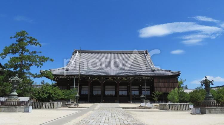 専修寺　御影堂 専修寺,一身田専修寺,真宗高田派の写真素材