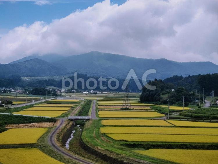 日本の田園風景 田んぼ,稲刈り,稲の写真素材