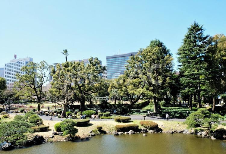 日比谷公園の風景 日比谷公園,心字池,池の写真素材