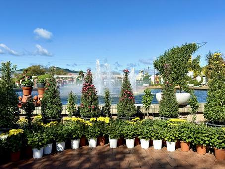 秋の武生中央公園 秋の武生中央公園 武生中央公園,福井県,越前市の写真素材
