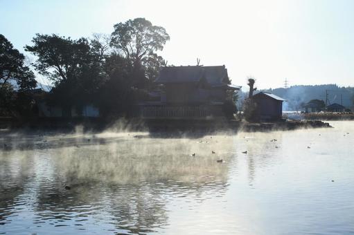 熊本県嘉島町 浮島池 熊本県嘉島町 浮島池 浮島池,浮島,池の写真素材