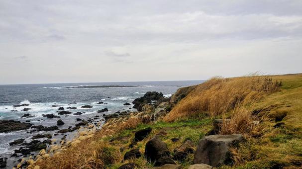 東北 冬の海 2 東北 冬の海 2の写真