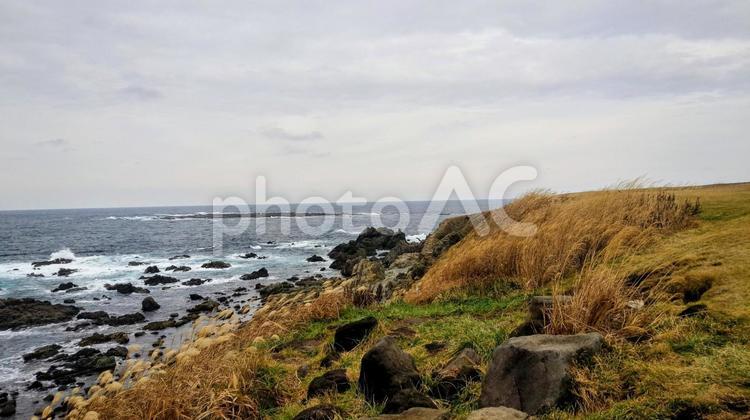 東北　冬の海　2 海,波,冬の写真素材
