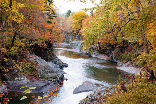 秋の滝上町の風景 滝上町,滝上渓谷錦仙峡,錦仙峡の写真素材
