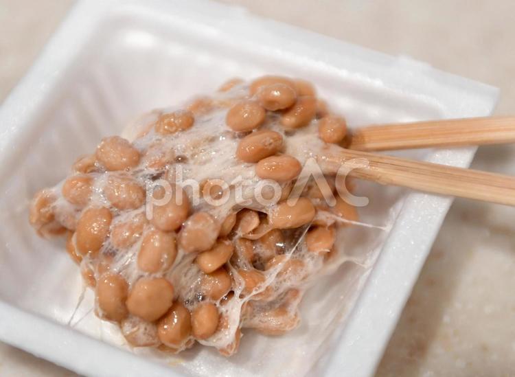 納豆　なっとう　大豆 納豆,なっとう,大豆の写真素材