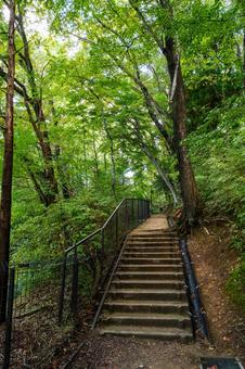 公園の風景⑼ 公園の風景⑼ 公園,木々,緑の写真素材