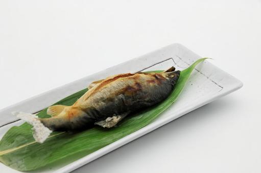子持ち鮎の塩焼き(山形県白鷹町産) 子持ち鮎の塩焼き(山形県白鷹町産)の写真
