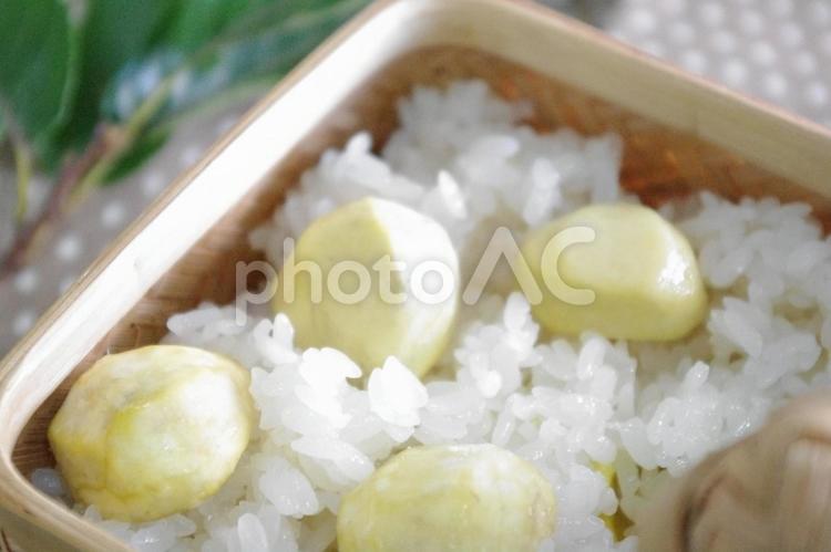 秋のごちそうを詰め込んで｜栗ごはんお弁当 栗,秋,栗ご飯の写真素材