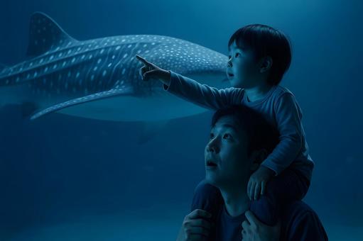 ジンベエザメを見上げる親子 ジンベエザメを見上げる親子の写真