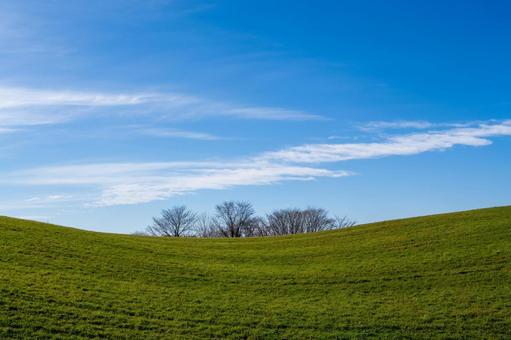 青空と緑の丘、雲が流れる優しい稜線 丘,白い雲,筋雲の写真素材
