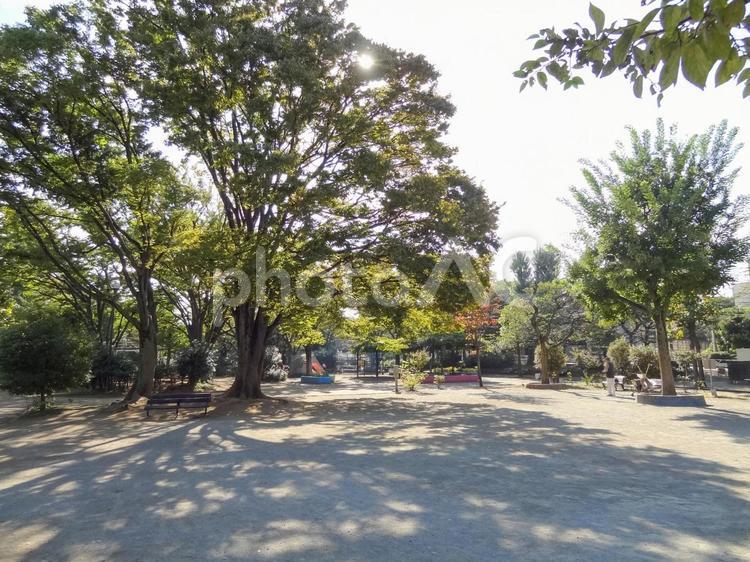 代々木大山公園の自然 代々木大山公園,風景,晴れの写真素材