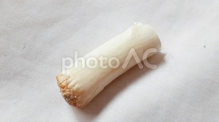 切って残った長ねぎの根元・1 ネギ,食材,長ネギの写真素材