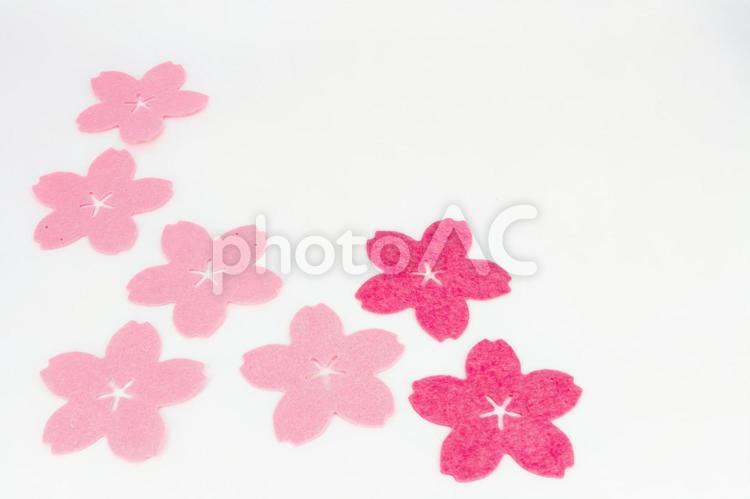 フェルトの桜の背景 桜,春,季節の写真素材
