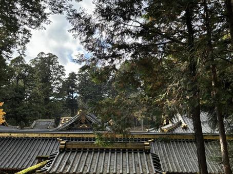 The roof of Toshogu Shrine, JPG The roof of Toshogu Shrine, JPG