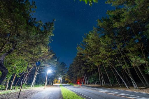 夜の阿波岐原パークウェイ 夜の阿波岐原パークウェイの写真