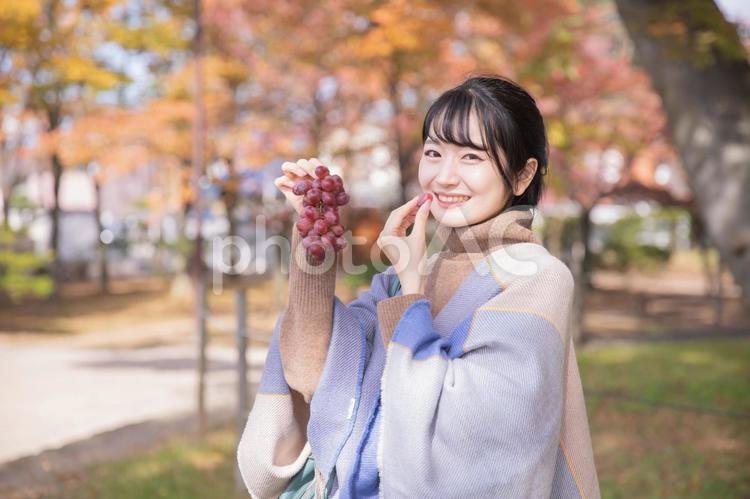 秋の公園でブドウを持つ女性 ブドウ,マスカット,果物の写真素材