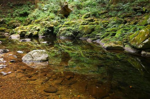 川面の水鏡 川面の水鏡の写真