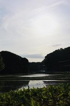 里山 里山の写真