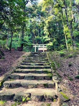 古刹 自然,風景,苔の写真素材