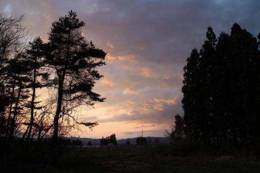 one day sunset 8 one day sunset 8の写真