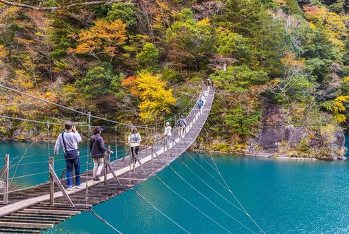 静岡県　寸又峡の夢の吊橋・秋景色 寸又峡,紅葉,風景の写真素材