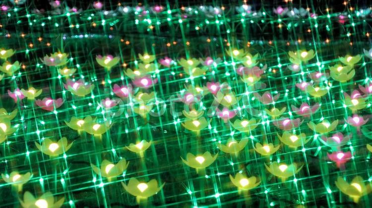 冬のイルミネーション　2024　93 クリスマス,冬,イルミネーションの写真素材