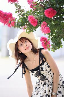 サルスベリの花を見る女性 サルスベリの花を見る女性の写真