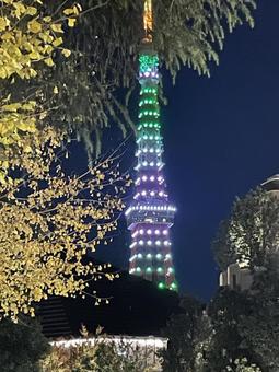 東京タワー 東京タワー,ライトアップ,夜景の写真素材