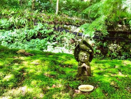 おさな地蔵 おさな地蔵 三千院,おさな地蔵,おじぞうさまの写真素材