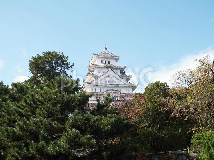 【風景写真】姫路城の風景 姫路城,天守閣,木造の写真素材