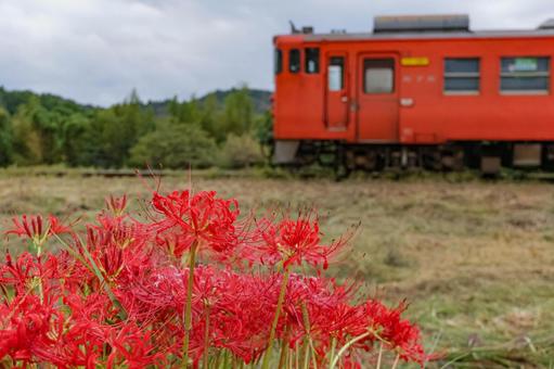 小湊鐵道 小湊鐵道の写真