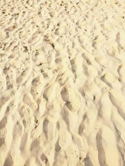 砂浜 砂浜,鳥取砂丘,日本海の写真素材