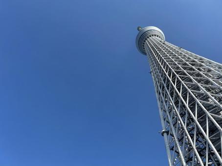 スカイツリー スカイツリー,空,青空の写真素材