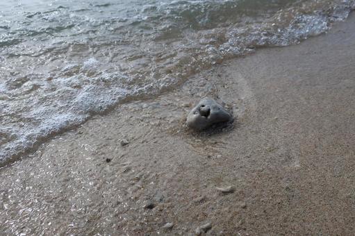 波 沖縄の海 波 沖縄の海の写真