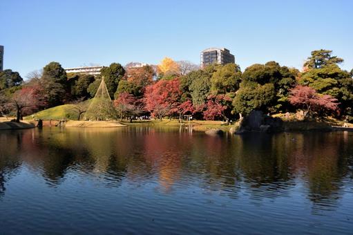 小石川後楽園の風景 小石川後楽園,東京都,紅葉の写真素材
