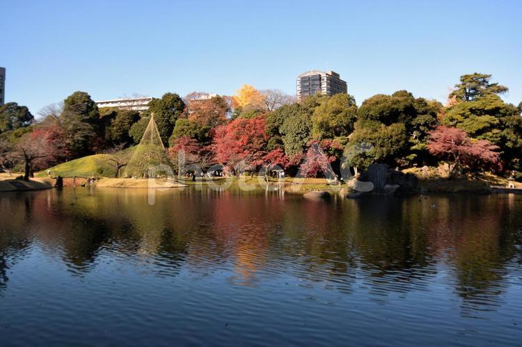 小石川後楽園の風景 小石川後楽園,東京都,紅葉の写真素材