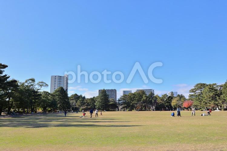 仙台市榴ヶ岡公園の風景 公園,広場,家族の写真素材