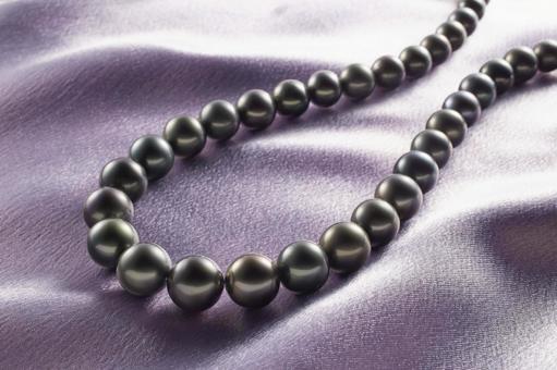 黒蝶パールネックレス パール,ネックレス,黒蝶の写真素材